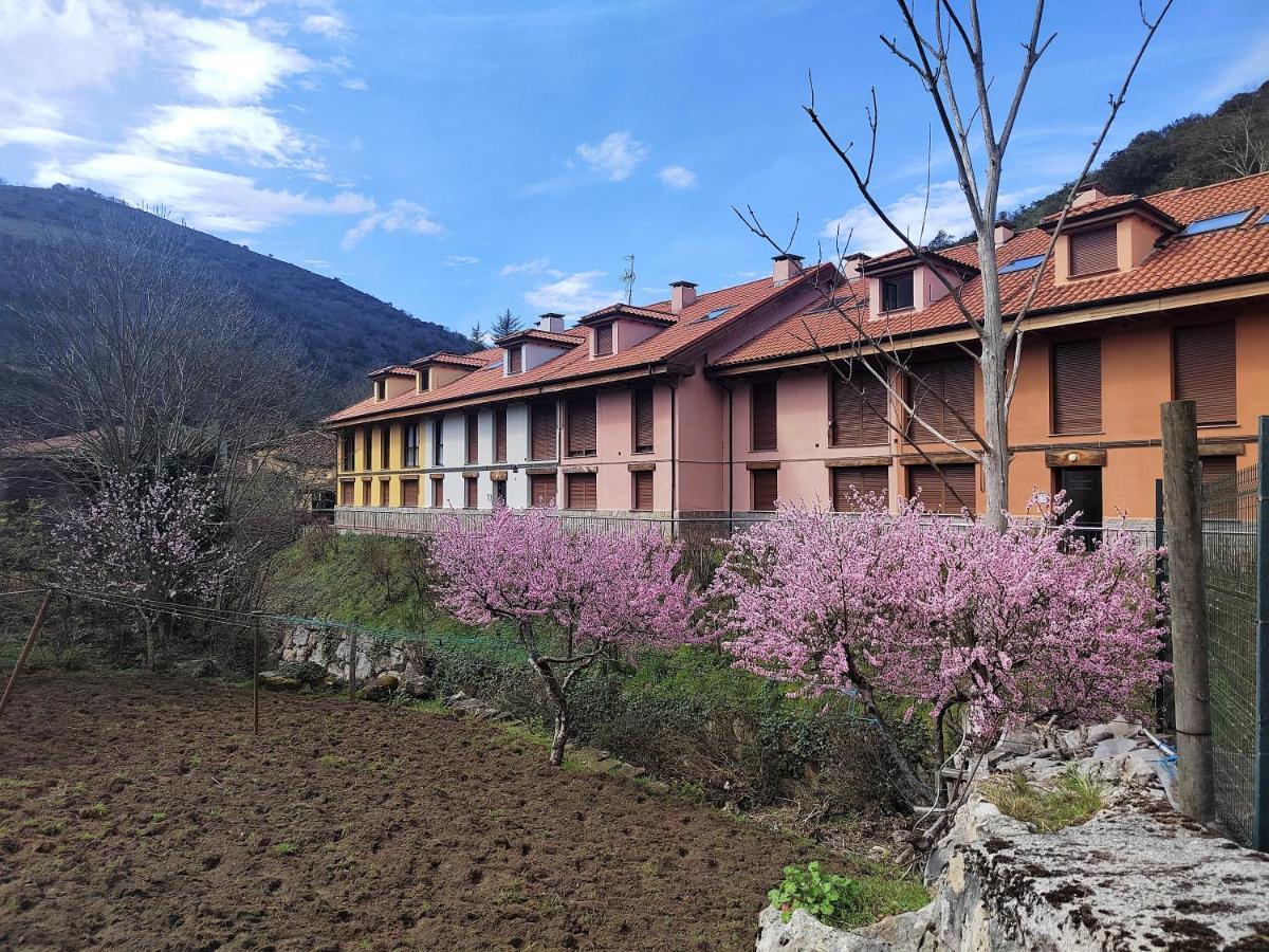 Ferienwohnung Cabrales Sol Carrena de Cabrales Exterior foto