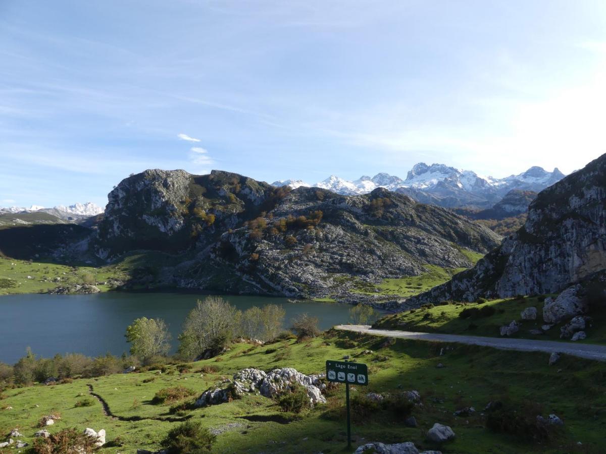 Ferienwohnung Cabrales Sol Carrena de Cabrales Exterior foto